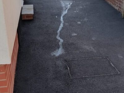 WhatsApp Image 2025-11-10 at 17.13.13 (3)